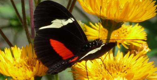 p1020082